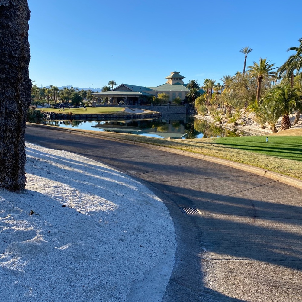 Meet your Posher, Maddy